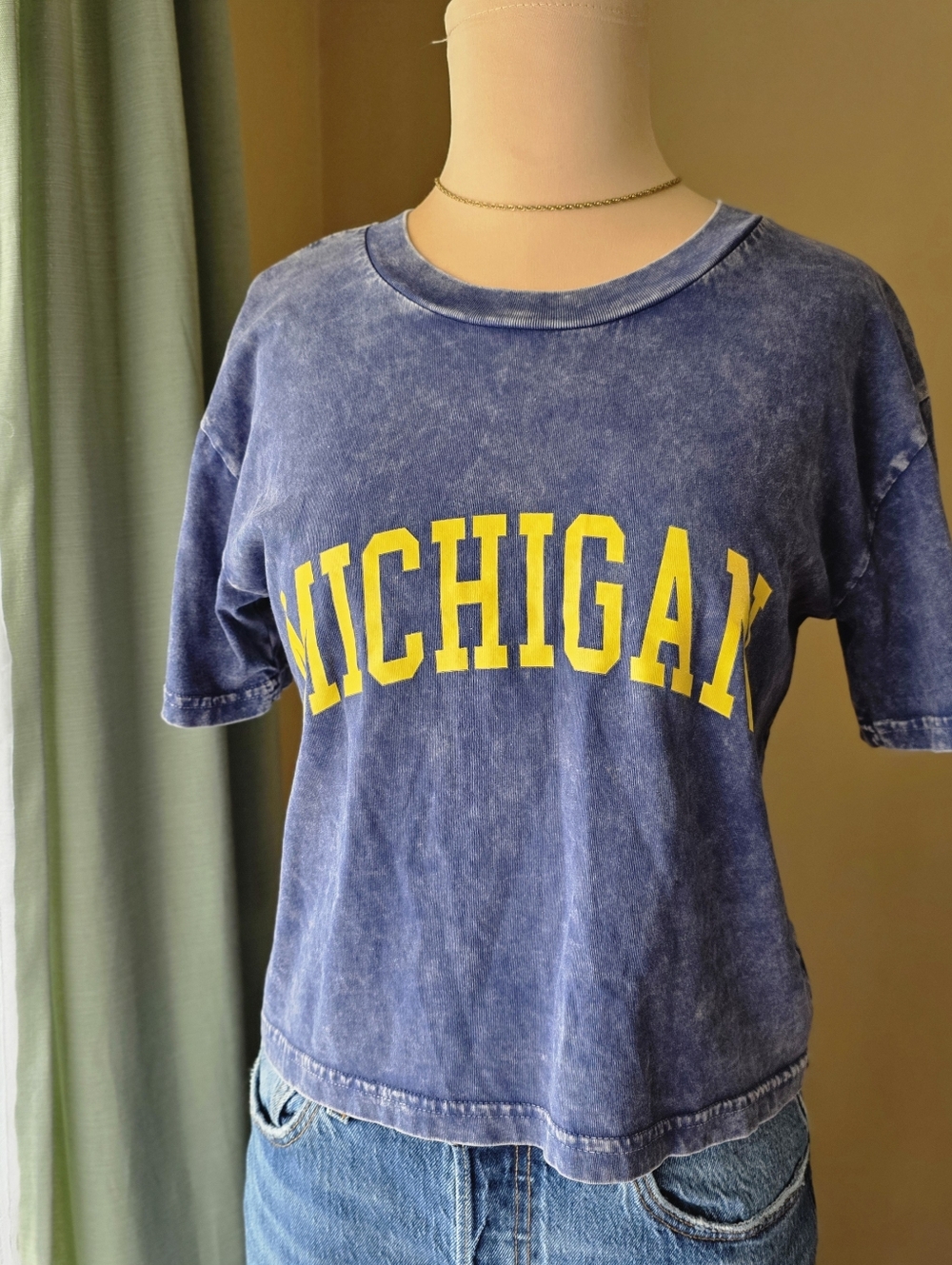 Chicka-D University of Michigan Cropped Tee Small Very Good Used Condition